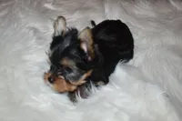 processed/f0f5b22b-40e6-4be8-9525-6a6e3c01d21e/listing/a1fac18a-5df6-45f0-836c-3c902b3776f1/54388827-c032-49de-9a61-e653289a8882