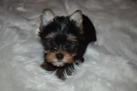 processed/f0f5b22b-40e6-4be8-9525-6a6e3c01d21e/listing/a1fac18a-5df6-45f0-836c-3c902b3776f1/5a7ac5aa-1fcd-40ec-9890-f61f33837f49