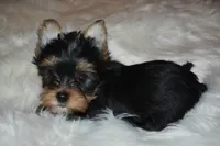 processed/f0f5b22b-40e6-4be8-9525-6a6e3c01d21e/listing/a1fac18a-5df6-45f0-836c-3c902b3776f1/96c36ccc-bf07-48f2-8c06-cdce878608c1