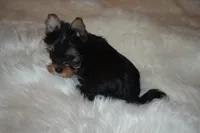 processed/f0f5b22b-40e6-4be8-9525-6a6e3c01d21e/listing/a1fac18a-5df6-45f0-836c-3c902b3776f1/bb4836ea-b953-43f5-82ea-d14bf2c97ad8