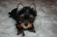 processed/f0f5b22b-40e6-4be8-9525-6a6e3c01d21e/listing/a1fac18a-5df6-45f0-836c-3c902b3776f1/d119a81e-d91c-44bf-821d-d4ff97f51827