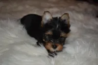 processed/f0f5b22b-40e6-4be8-9525-6a6e3c01d21e/listing/a1fac18a-5df6-45f0-836c-3c902b3776f1/d24b7033-d31c-45a7-a69b-ae25a0e1e529