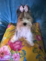 processed/f0f5b22b-40e6-4be8-9525-6a6e3c01d21e/listing/c8cd65de-acf8-443f-bd3f-7dae376f8e3f/b88e9b7e-ac7c-4531-9297-5b6528d78304