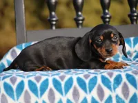 processed/f0f603ed-f6c8-470d-a7f0-751e1a994c71/listing/06ce15ff-4081-45ff-a94d-c26c4e3be682/5980c306-0d35-4cdf-9d3c-d1512d3c4b45