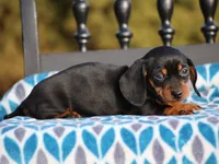 processed/f0f603ed-f6c8-470d-a7f0-751e1a994c71/listing/06ce15ff-4081-45ff-a94d-c26c4e3be682/7a62f506-68c7-4085-9c7a-4240551e49ae