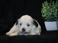 processed/f0f603ed-f6c8-470d-a7f0-751e1a994c71/listing/1375e211-c019-47d0-b7b2-204275029895/c18b5c8d-2513-4ebd-ac4b-f2cc1e8b2194