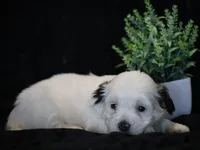 processed/f0f603ed-f6c8-470d-a7f0-751e1a994c71/listing/1375e211-c019-47d0-b7b2-204275029895/ff7d3469-74c0-4a3a-8d85-76115ebf8c72