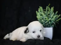 processed/f0f603ed-f6c8-470d-a7f0-751e1a994c71/listing/138ae1c7-88b6-4a3e-b223-74f420f23dde/baf01706-3b60-4d58-96d7-3179a83b44e2