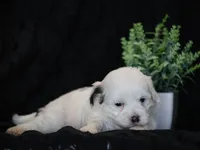 processed/f0f603ed-f6c8-470d-a7f0-751e1a994c71/listing/138ae1c7-88b6-4a3e-b223-74f420f23dde/dddfc056-0099-4564-9b30-a00578fbc0eb