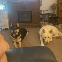 processed/f0fc846c-6db7-4d9d-9224-197068ae82ac/facility/20eb6e0d-2a61-46c9-a40b-557251f72e53