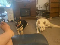 processed/f0fc846c-6db7-4d9d-9224-197068ae82ac/facility/20eb6e0d-2a61-46c9-a40b-557251f72e53