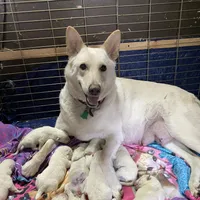 processed/f0fc846c-6db7-4d9d-9224-197068ae82ac/facility/2d1d981e-5490-4c46-b296-144ce4d32612