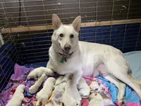 processed/f0fc846c-6db7-4d9d-9224-197068ae82ac/facility/2d1d981e-5490-4c46-b296-144ce4d32612