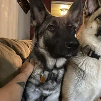 processed/f0fc846c-6db7-4d9d-9224-197068ae82ac/facility/55a0d654-a102-4c14-84c2-9a396abfb8a0