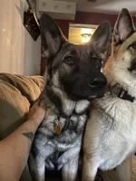 processed/f0fc846c-6db7-4d9d-9224-197068ae82ac/facility/55a0d654-a102-4c14-84c2-9a396abfb8a0