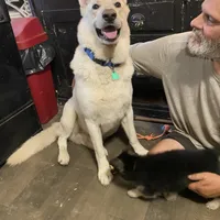 processed/f0fc846c-6db7-4d9d-9224-197068ae82ac/facility/795c33fb-4a72-4a86-bdf7-3c9c00306ee1