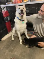 processed/f0fc846c-6db7-4d9d-9224-197068ae82ac/facility/795c33fb-4a72-4a86-bdf7-3c9c00306ee1