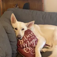 processed/f0fc846c-6db7-4d9d-9224-197068ae82ac/facility/842adb68-b98e-44f9-a196-df456e287b16