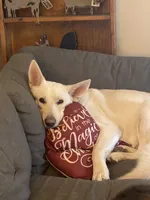 processed/f0fc846c-6db7-4d9d-9224-197068ae82ac/facility/842adb68-b98e-44f9-a196-df456e287b16