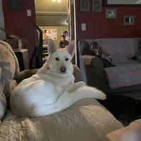 processed/f0fc846c-6db7-4d9d-9224-197068ae82ac/facility/9840c4a9-2bb8-4bfe-bc6b-b365cdbb8a95