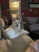 processed/f0fc846c-6db7-4d9d-9224-197068ae82ac/facility/9840c4a9-2bb8-4bfe-bc6b-b365cdbb8a95