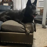 processed/f0fc846c-6db7-4d9d-9224-197068ae82ac/facility/c6792851-1293-4b1a-86df-6da321ef59de