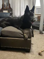 processed/f0fc846c-6db7-4d9d-9224-197068ae82ac/facility/c6792851-1293-4b1a-86df-6da321ef59de