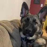 processed/f0fc846c-6db7-4d9d-9224-197068ae82ac/facility/cda64241-59fa-4f9d-ac2e-c99c226f4bb9