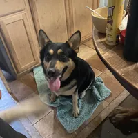 processed/f0fc846c-6db7-4d9d-9224-197068ae82ac/facility/d80893a3-9f86-412d-ab86-c792e57eb448