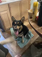 processed/f0fc846c-6db7-4d9d-9224-197068ae82ac/facility/d80893a3-9f86-412d-ab86-c792e57eb448