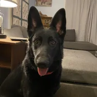 processed/f0fc846c-6db7-4d9d-9224-197068ae82ac/facility/f5eb72b5-9a5e-455a-99c3-afb3e37655d0