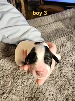 processed/f1029d13-239e-4f85-9207-ea15d105eaf4/listing/0873f6b1-b6df-4b4c-9475-619877c8d355/9aadbf60-241b-4b55-b4e1-5d8e35f78c9f