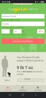 AKC girl 4, a female Poodle - Toy  for sale in Houstonia, MO – 9 of 9
