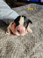 processed/f1029d13-239e-4f85-9207-ea15d105eaf4/listing/e966d301-843a-4a37-9a1c-3845e8f65123/2c7abfb1-b202-4ced-bf29-22d9dfb39a9e