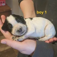 processed/f1029d13-239e-4f85-9207-ea15d105eaf4/listing/e966d301-843a-4a37-9a1c-3845e8f65123/760d9671-e8a0-4879-88d1-df5d8840cda5