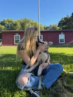 Tater Tot, a male German Shepherd Dog and Alaskan Husky for sale in North Highlands, CA – 1 of 10