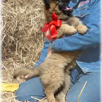 processed/f1124d80-71a2-4cbd-a4fe-5e19f4ee5c94/facility/5ae29c50-8ea1-406f-9fc1-b9d0fa3f76b6