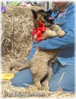 processed/f1124d80-71a2-4cbd-a4fe-5e19f4ee5c94/facility/5ae29c50-8ea1-406f-9fc1-b9d0fa3f76b6