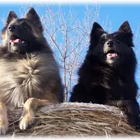 processed/f1124d80-71a2-4cbd-a4fe-5e19f4ee5c94/facility/8c2365c2-b0ff-4d1d-8628-770f6c2a6a9d