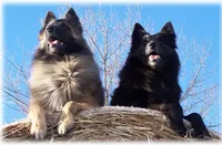 processed/f1124d80-71a2-4cbd-a4fe-5e19f4ee5c94/facility/8c2365c2-b0ff-4d1d-8628-770f6c2a6a9d