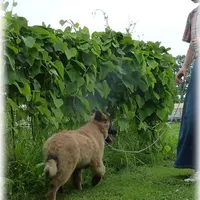 processed/f1124d80-71a2-4cbd-a4fe-5e19f4ee5c94/facility/ca5f8ac9-6523-4150-805b-de959296701a