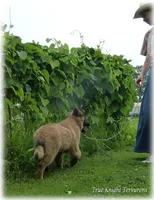 processed/f1124d80-71a2-4cbd-a4fe-5e19f4ee5c94/facility/ca5f8ac9-6523-4150-805b-de959296701a