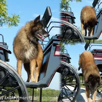 processed/f1124d80-71a2-4cbd-a4fe-5e19f4ee5c94/facility/ce4b063f-012c-498f-8194-b13dd51b8ea7