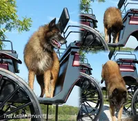 processed/f1124d80-71a2-4cbd-a4fe-5e19f4ee5c94/facility/ce4b063f-012c-498f-8194-b13dd51b8ea7