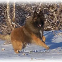 processed/f1124d80-71a2-4cbd-a4fe-5e19f4ee5c94/facility/dafdaa14-ccab-46e2-ba20-819b6c0a52bb