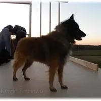 processed/f1124d80-71a2-4cbd-a4fe-5e19f4ee5c94/facility/db08317b-39cc-43a5-9ddb-895a75fa4fdd