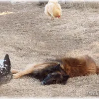 processed/f1124d80-71a2-4cbd-a4fe-5e19f4ee5c94/facility/f73571c7-849f-4c7a-b5fe-e94ed9e20db8