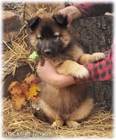 processed/f1124d80-71a2-4cbd-a4fe-5e19f4ee5c94/listing/06408b97-7980-4c05-9fd9-e0bca5d58cc7/5bd73f08-ef30-4bdd-bd99-c328d884ac00