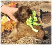 processed/f1124d80-71a2-4cbd-a4fe-5e19f4ee5c94/listing/06408b97-7980-4c05-9fd9-e0bca5d58cc7/a65805e7-56f8-4e0f-97ce-92d8d6a51272