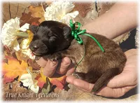 processed/f1124d80-71a2-4cbd-a4fe-5e19f4ee5c94/listing/06408b97-7980-4c05-9fd9-e0bca5d58cc7/f65d84a8-384c-460f-bb0c-ddb99392a6e0